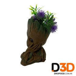 Maceta Groot